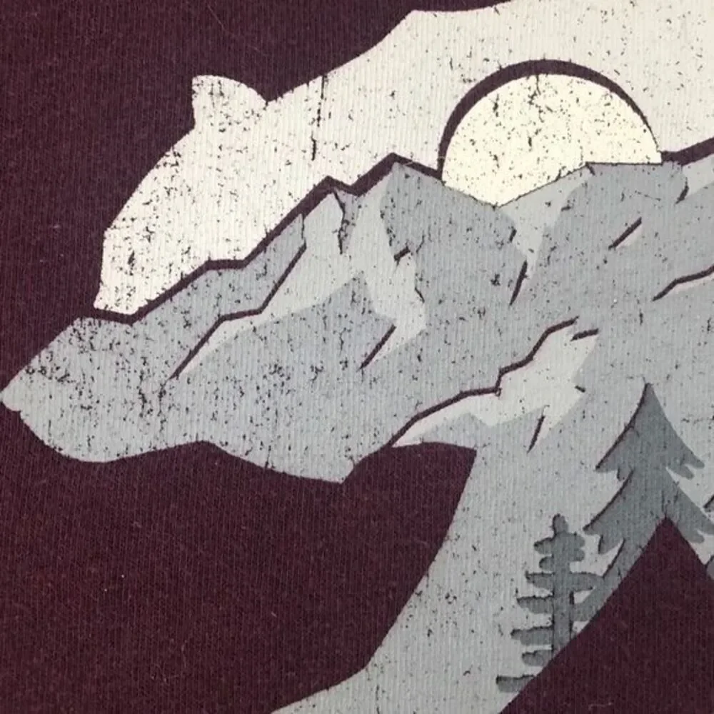 The North Face Men's Maroon Small Fleece Lined Distressed Bear Hoodie‎ Pullover